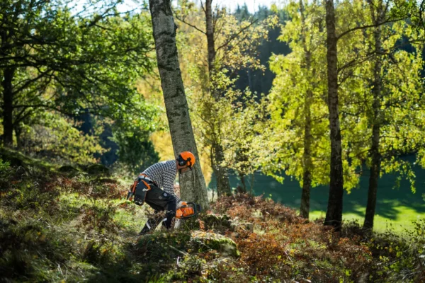 HUSQVARNA 450S