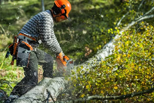 HUSQVARNA 450S