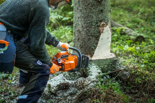 HUSQVARNA 450X