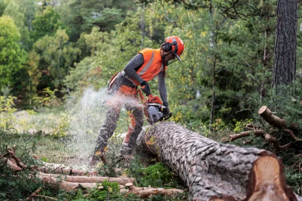 HUSQVARNA 550XP® Mark II