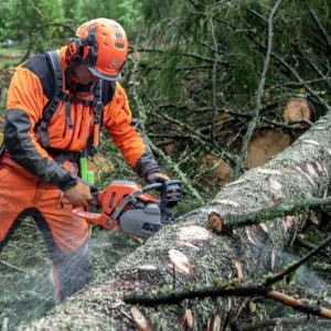 HUSQVARNA 550XP® Mark II