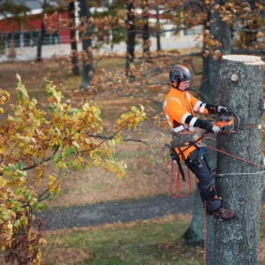 HUSQVARNA 550i XP® bez akumulátora a nabíjačky