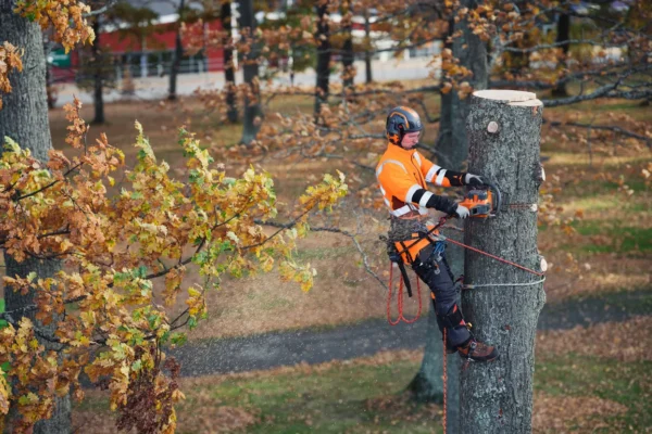 HUSQVARNA 550i XP® bez akumulátora a nabíjačky