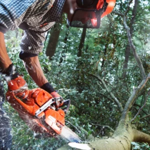 HUSQVARNA 555