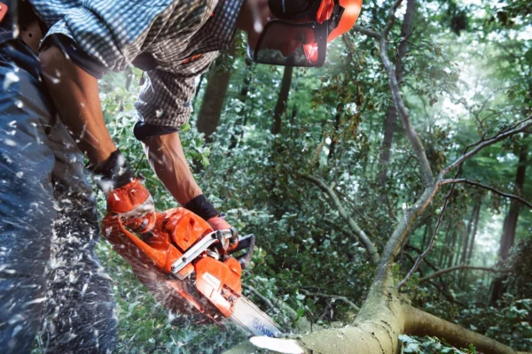 HUSQVARNA 555