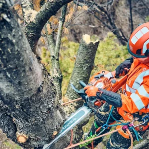 Husqvarna 560XP® G Mark II