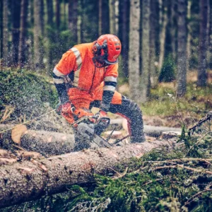 Husqvarna 560XP® Mark II