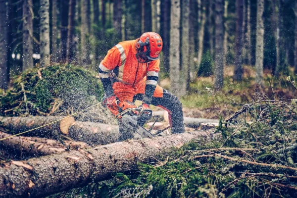 Husqvarna 560XP® Mark II