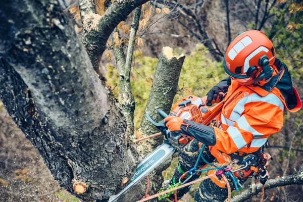 Husqvarna 560XP® Mark II