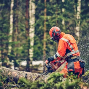 Husqvarna 560XP® Mark II