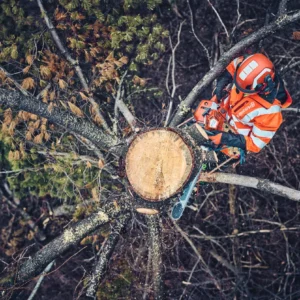 Husqvarna 562XP® G Mark II