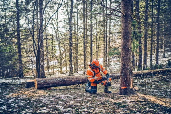 HUSQVARNA 562XP® Mark II