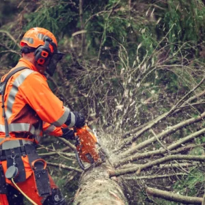 HUSQVARNA 564XP® Fuel Inject