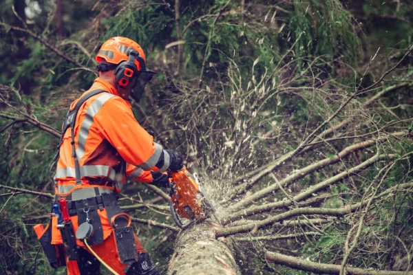 HUSQVARNA 564XP® Fuel Inject