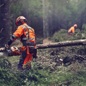 HUSQVARNA 564XP® G Fuel Inject
