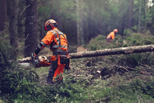 HUSQVARNA 564XP® G Fuel Inject