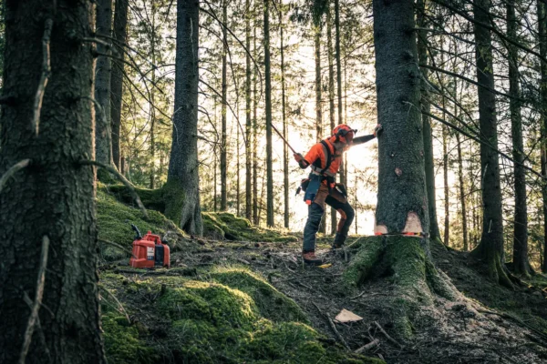 HUSQVARNA 572XP® G