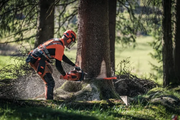 HUSQVARNA 572XP®