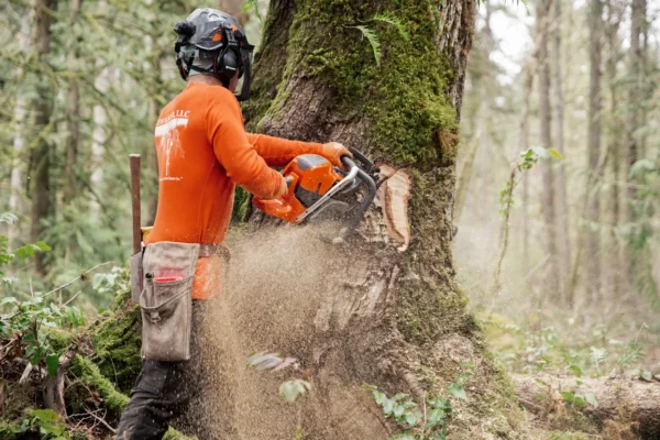 HUSQVARNA 592 XP® G