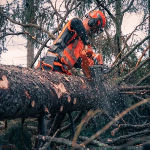 HUSQVARNA 592 XP®