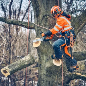 Husqvarna T542i XP® bez akumulátora a nabíjačky