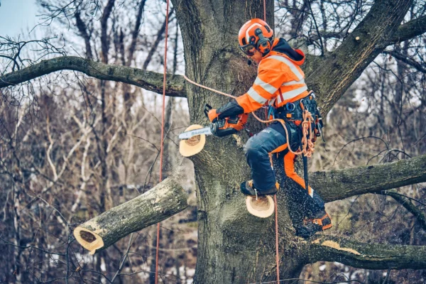 Husqvarna T542i XP® bez akumulátora a nabíjačky