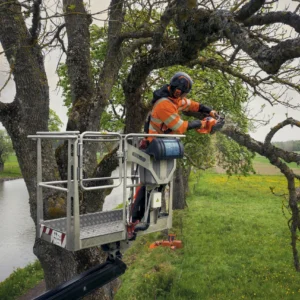 HUSQVARNA 540XP® Mark III