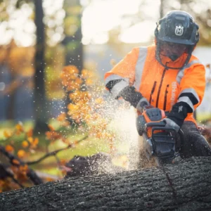 Lesnícka prilba Husqvarna, Technical