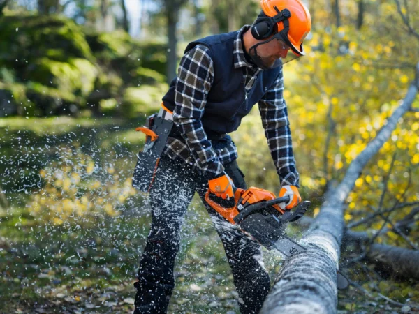 HUSQVARNA 445S