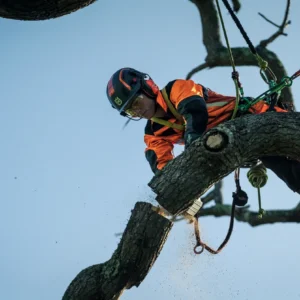 HUSQVARNA T540i XP bez akumulátora a nabíjačky