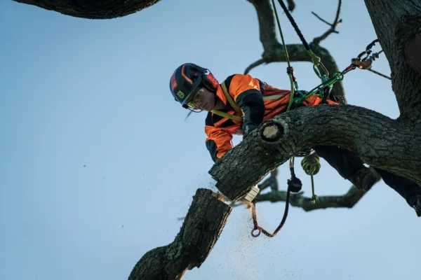 HUSQVARNA T540i XP bez akumulátora a nabíjačky