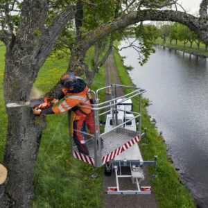 HUSQVARNA 540XP® Mark III