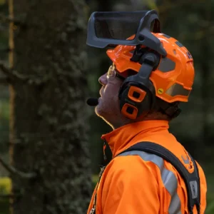 Lesnícka prilba, Technical Mips