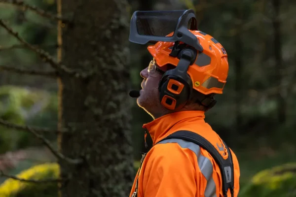 Lesnícka prilba, Technical Mips